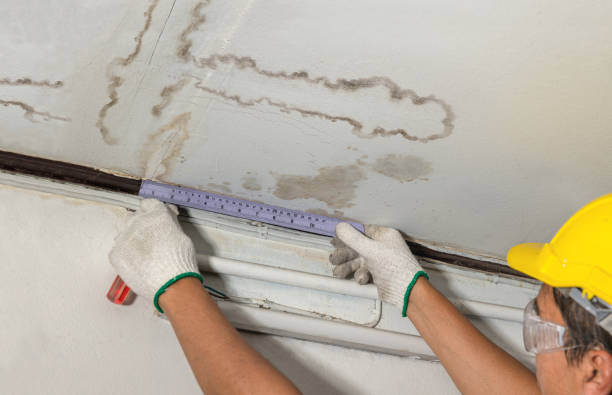 Reliable Structural Drying contractor in McNary, AZ by Water Damage Irwin